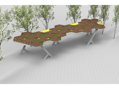 �����ȼ��L(zh��ng)��